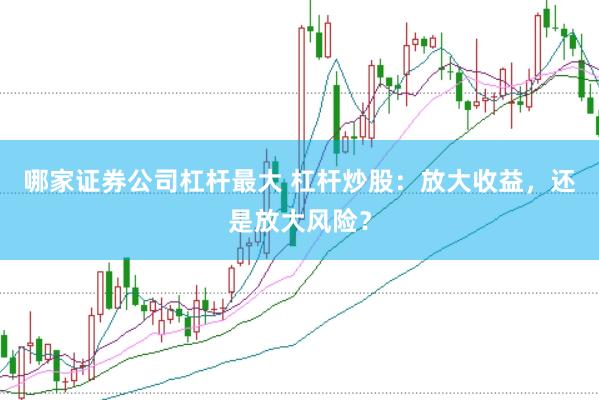 哪家证券公司杠杆最大 杠杆炒股：放大收益，还是放大风险？