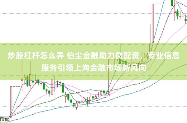 炒股杠杆怎么弄 伯尘金融助力微配资，专业信息服务引领上海金融市场新风向