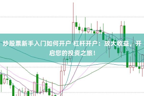 炒股票新手入门如何开户 杠杆开户：放大收益，开启您的投资之旅！