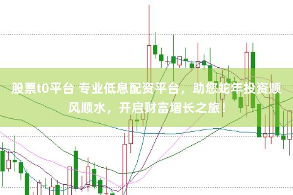 股票t0平台 专业低息配资平台，助您蛇年投资顺风顺水，开启财富增长之旅！