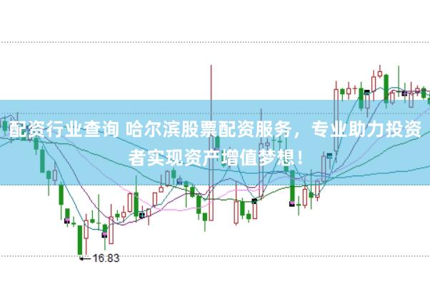 配资行业查询 哈尔滨股票配资服务，专业助力投资者实现资产增值梦想！