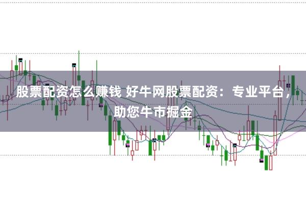 股票配资怎么赚钱 好牛网股票配资：专业平台，助您牛市掘金