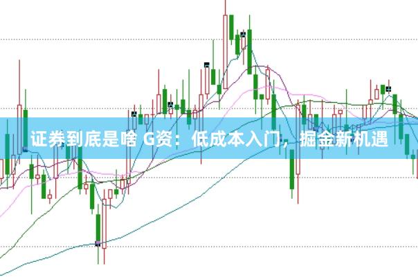 证券到底是啥 G资：低成本入门，掘金新机遇