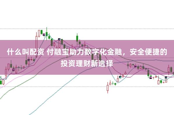 什么叫配资 付融宝助力数字化金融，安全便捷的投资理财新选择