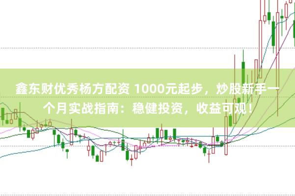 鑫东财优秀杨方配资 1000元起步，炒股新手一个月实战指南：稳健投资，收益可观！
