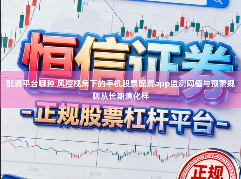 配资平台哪种 风控视角下的手机股票配资app监测阈值与预警规则从长期演化样